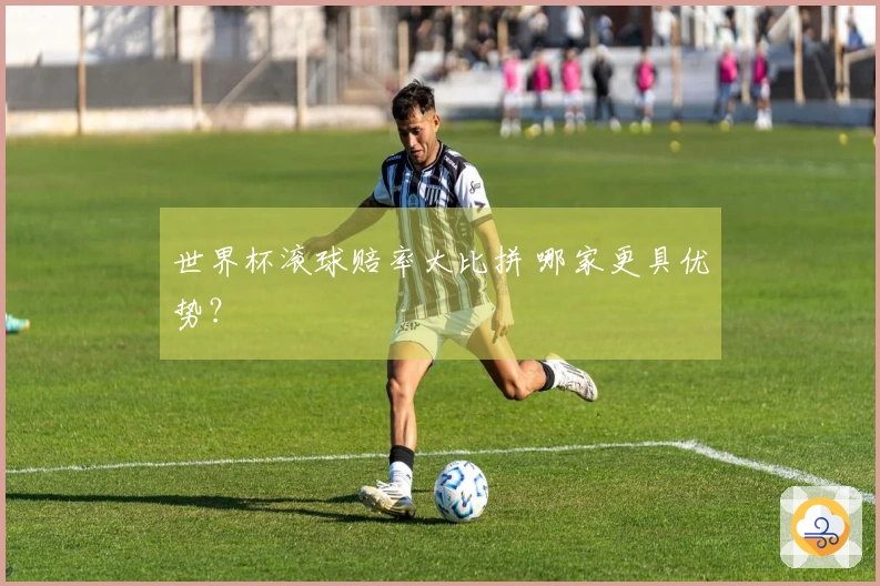 世界杯滚球赔率大比拼 哪家更具优势？