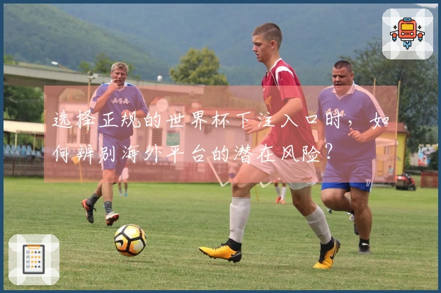选择正规的世界杯下注入口时，如何辨别海外平台的潜在风险？