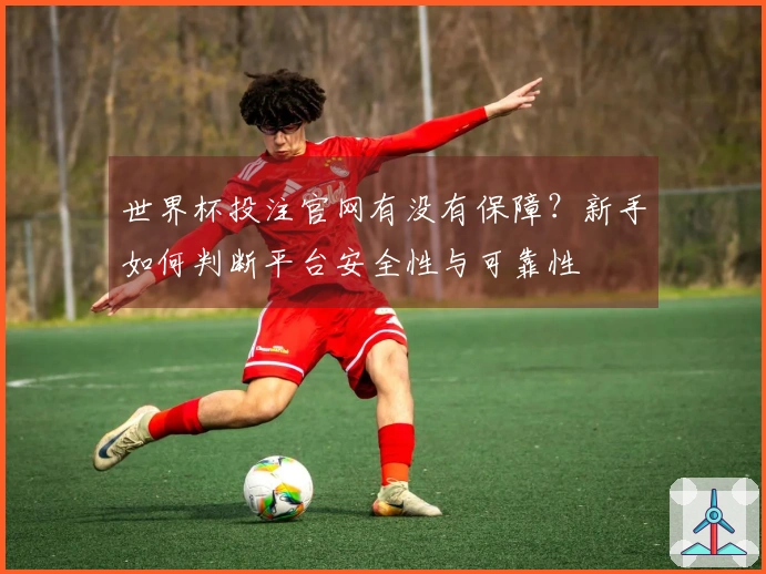 世界杯投注官网有没有保障？新手如何判断平台安全性与可靠性