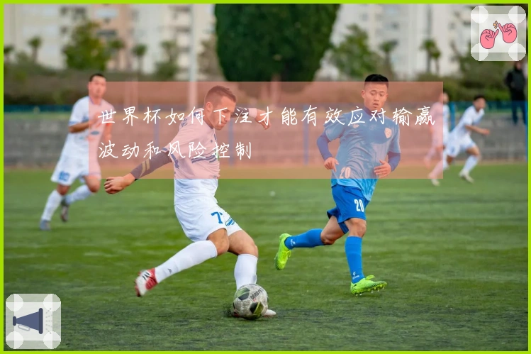 世界杯如何下注才能有效应对输赢波动和风险控制