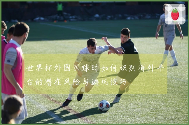 世界杯外围买球时如何识别海外平台的潜在风险与避坑技巧