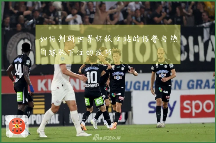 如何判断世界杯投注站的信誉与热门球队下注的技巧