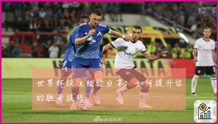 世界杯投注经验分享：如何提升你的胜率技巧