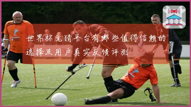 世界杯竞猜平台有哪些值得信赖的选择及用户真实反馈评测