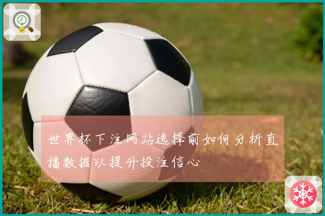 世界杯下注网站选择前如何分析直播数据以提升投注信心