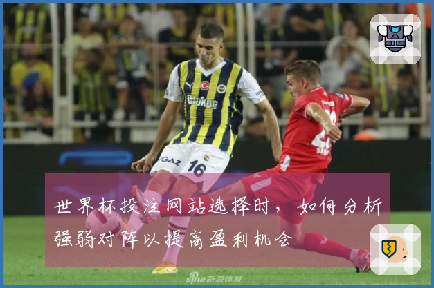 世界杯投注网站选择时，如何分析强弱对阵以提高盈利机会