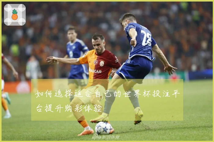 如何选择适合自己的世界杯投注平台提升购彩体验