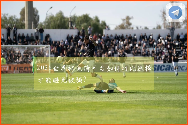 2026世界杯竞猜平台如何对比选择才能避免被骗？