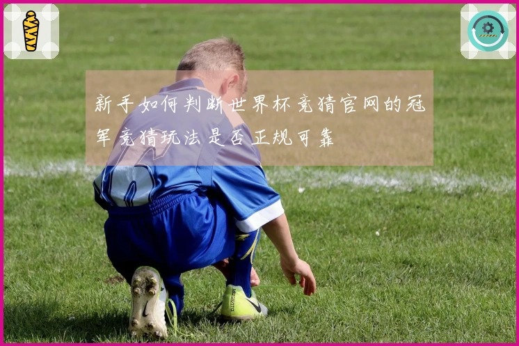 新手如何判断世界杯竞猜官网的冠军竞猜玩法是否正规可靠