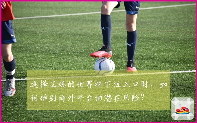 选择正规的世界杯下注入口时，如何辨别海外平台的潜在风险？