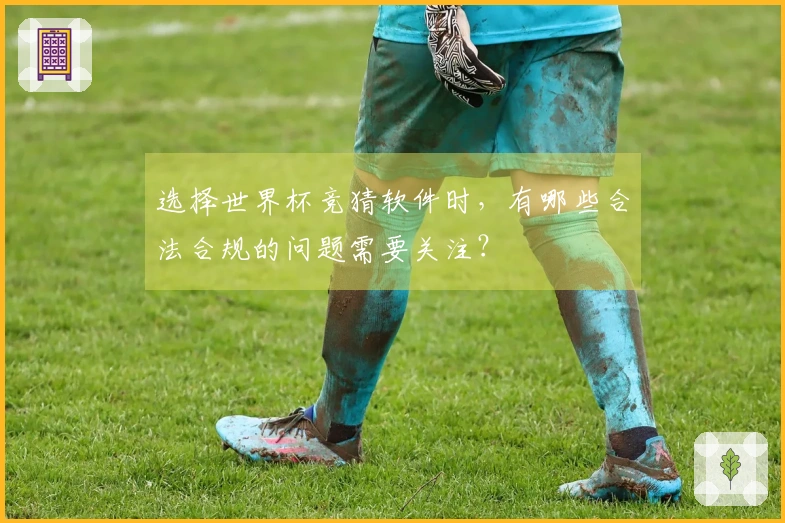 选择世界杯竞猜软件时，有哪些合法合规的问题需要关注？